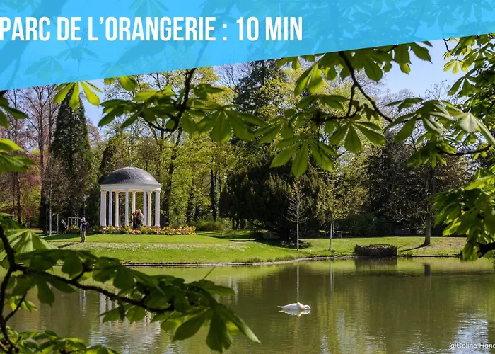 Elegance - Apartment