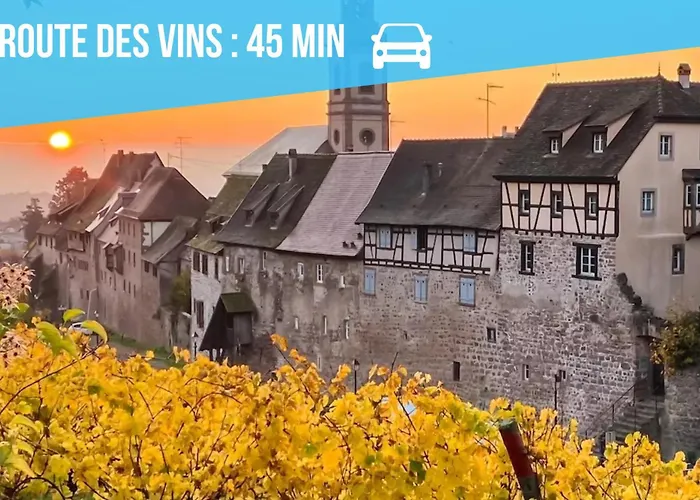 Elegance - Apartment Straßburg